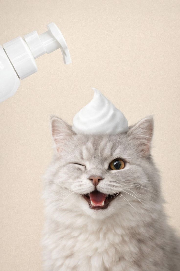 Spa animal